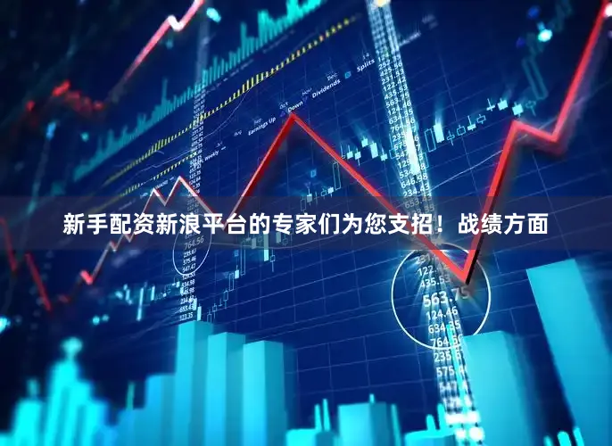 新手配资新浪平台的专家们为您支招！战绩方面