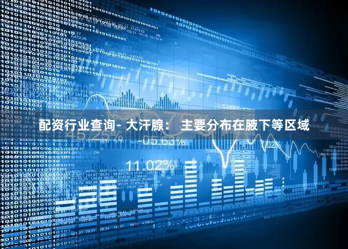 配资行业查询- 大汗腺： 主要分布在腋下等区域