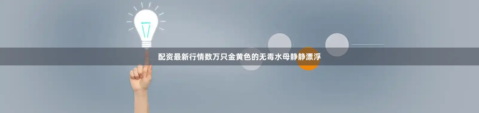 配资最新行情数万只金黄色的无毒水母静静漂浮