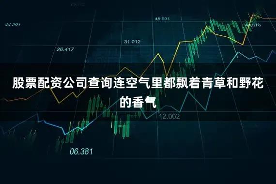 股票配资公司查询连空气里都飘着青草和野花的香气