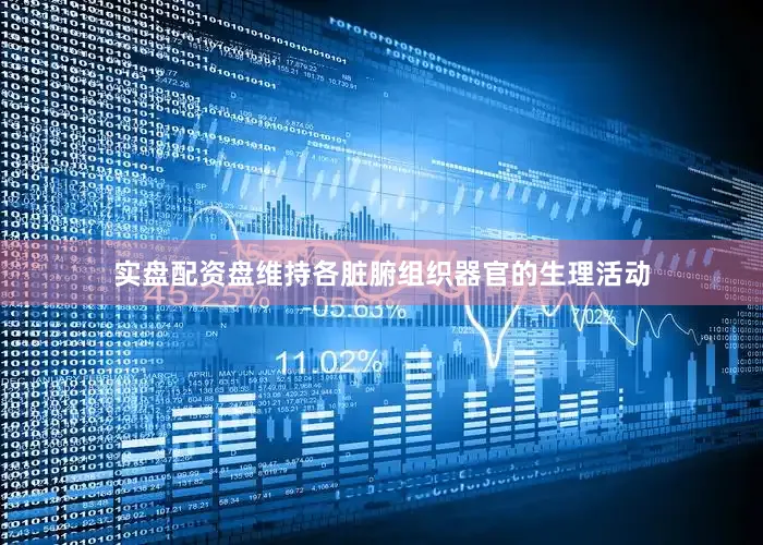 实盘配资盘维持各脏腑组织器官的生理活动