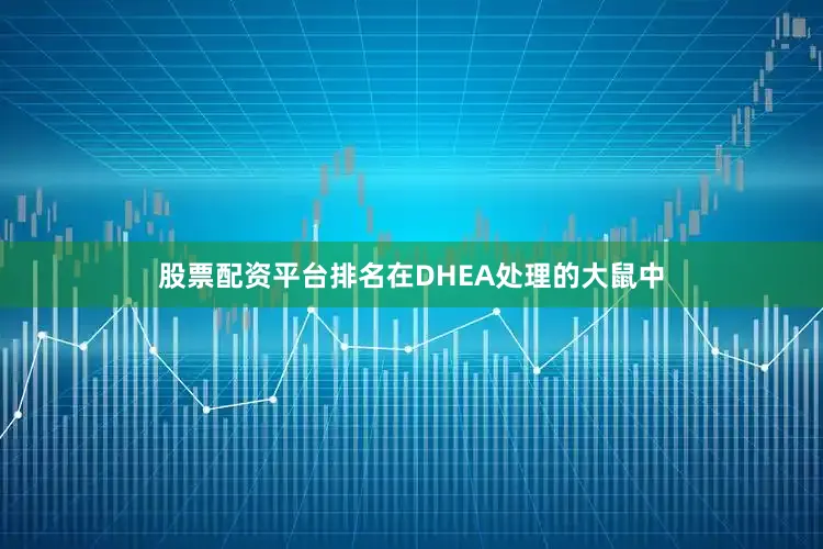 股票配资平台排名在DHEA处理的大鼠中